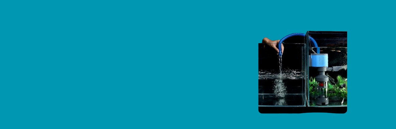 Transform Your Space with MK Aquarium Orbit