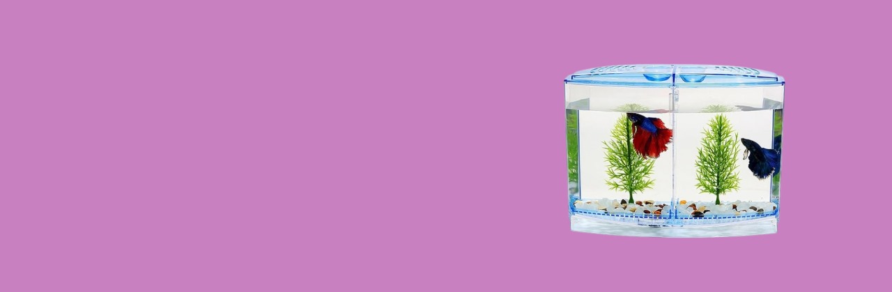 Your One-Stop Destination for Aquatic Beauty